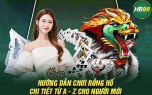 Rồng Hổ Là Gì?